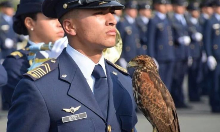 168 cadetes de la Fuerza Aérea Colombiana dijeron "Si juro" 