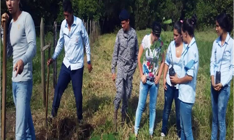 La Fuerza Aérea, Cormacarena y el Gobierno Municipal sembraron arboles en la vereda el Cocuy 