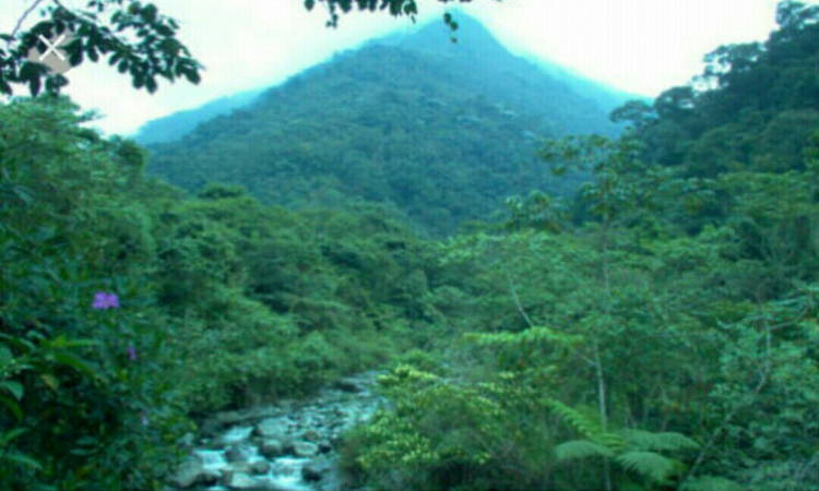 Fuerza Aérea lidera operación de rescate de desaparecidos en Farallones de Cali