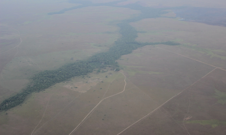 Fuerza Aérea realiza seguimiento y vigilancia por conflagraciones en el oriente colombiano 