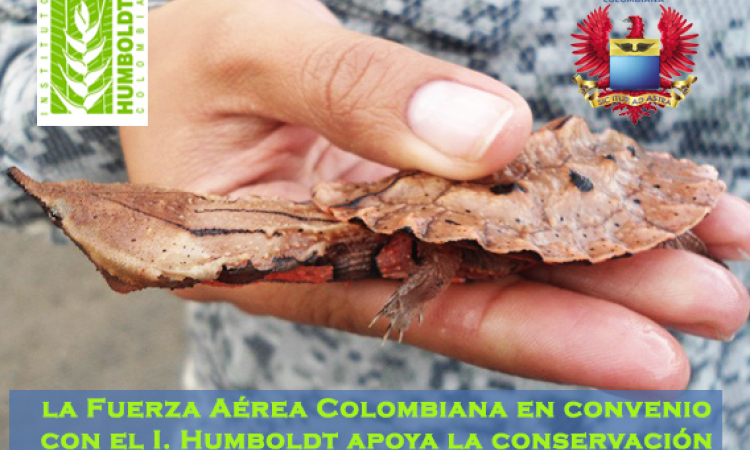 Fuerza Aérea junto al instituto Humboldt comprometidos con nuestra biodiversidad