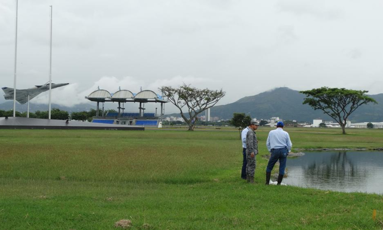 En un 80% han disminuido los impactos con aves en la Base Aérea de Cali con apoyo de la CVC 