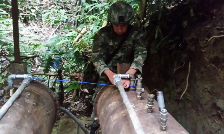 Durante operación contra el narcotráfico en Nariño, Fuerzas Armadas ubican dos laboratorios para procesamiento de alcaloides