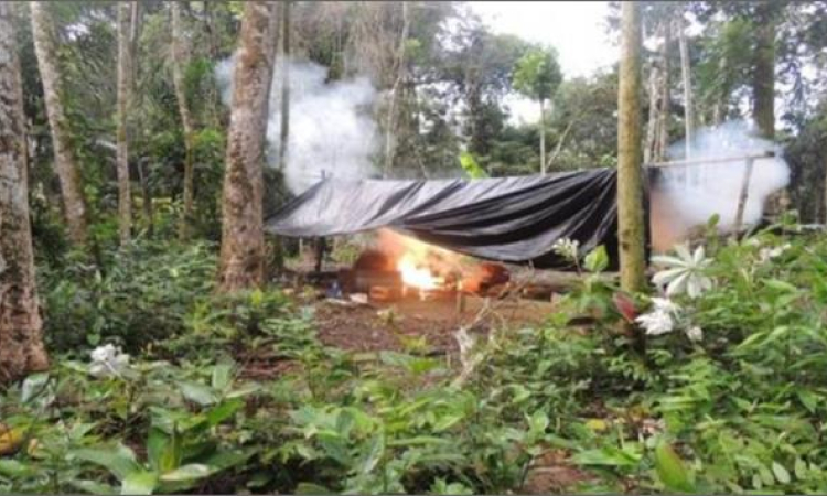 Fuerza de Tarea ARES neutraliza un laboratorio para el procesamiento de coca en Cumaribo, Vichada 