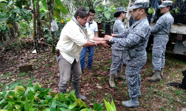 Fuerza Aérea Colombiana apoya mejoramiento de cultivos de cacao en Victoria, Caldas