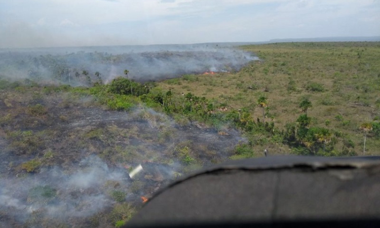 Fuerzas Militares apoyan extinción de incendio en La Macarena