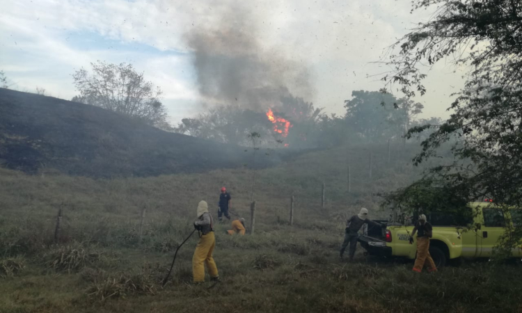 Fuerza Aérea Colombia continua apoyando extinción de incendios forestales en el centro del país