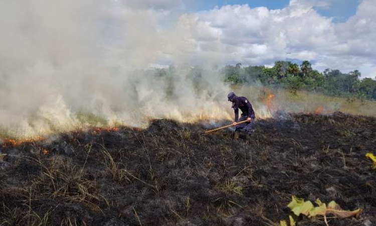 Fuerza Aérea Colombiana extingue incendio en alrededores del río Tomo en Vichada