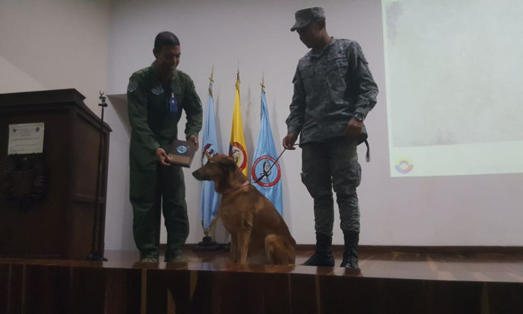 Canino de la Fuerza Aérea recibe reconocimiento tras 10 años de servicio