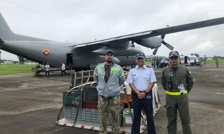 Fuerza Aérea Colombiana participó en operación de liberación de animales silvestres en el Caquetá 