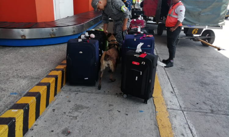 Control antiexplosivos es realizado en el Aeropuerto Internacional Gustavo Rojas Pinilla por el Grupo Aéreo del Caribe