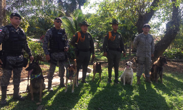 Canino de la FAC participa en festival internacional en el Amazonas