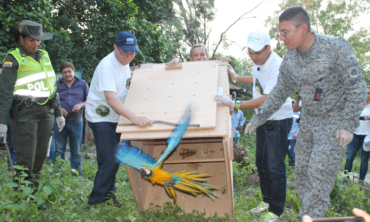 Conservar el medio ambiente, un compromiso de la Fuerza Aérea Colombiana