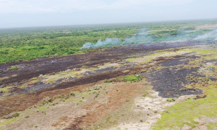 La Fuerza Aérea Colombiana logró controlar totalmente el incendio en el Parque Natural Isla Salamanca