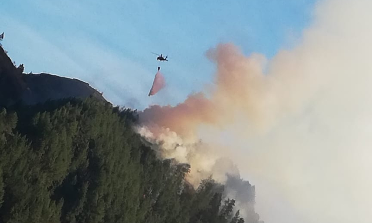 Misiones de extinción de incendios  forestales en cuatro departamentos durante el fin de semana, cumplió la Fuerza Aérea Colombiana