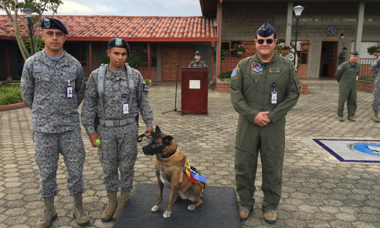 Nany Hare, una canino antiexplosivos se licenció en la Fuerza Aérea