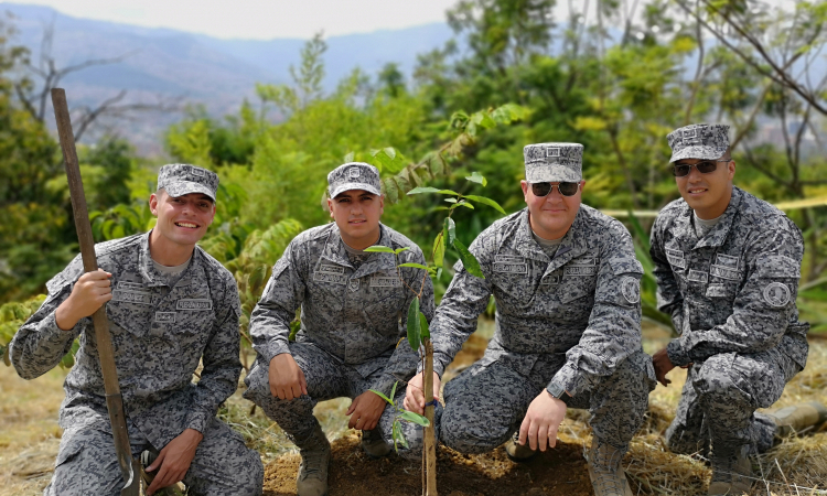 A la sembraton de árboles en Antioquia se unió la Fuerza Aérea