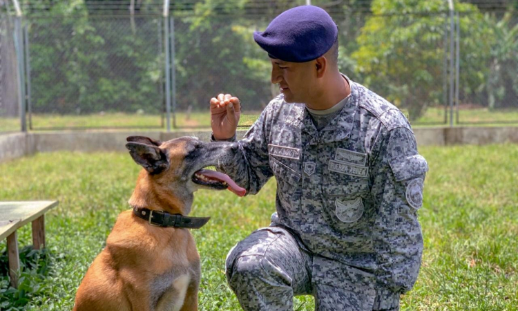 Guía de canino militar, un trabajo en equipo 