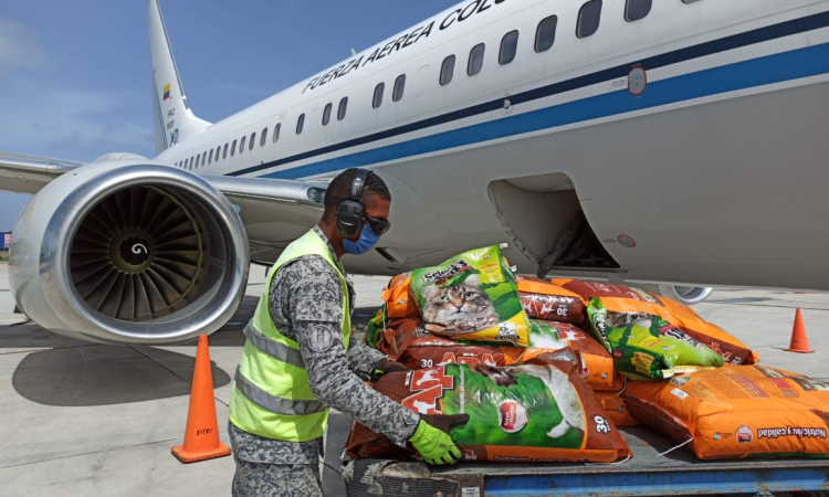 Alimentos para animales en condición de calle son transportados por su Fuerza Aérea 