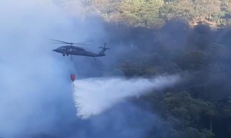 Controlado incendio forestal en el Valle del Cauca