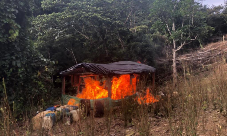 Once laboratorios ilegales que procesaban base de cocaína fueron destruídos en Antioquia