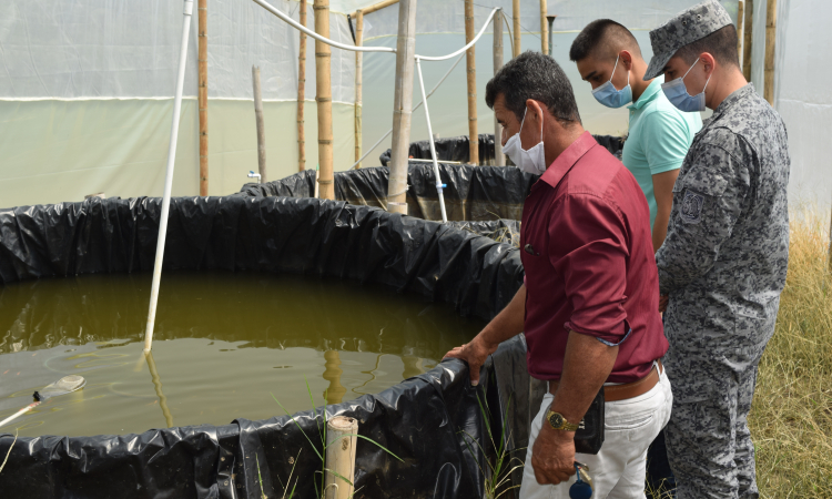 Sigue creciendo proyecto de piscicultura apoyado por su Fuerza Aérea Colombiana