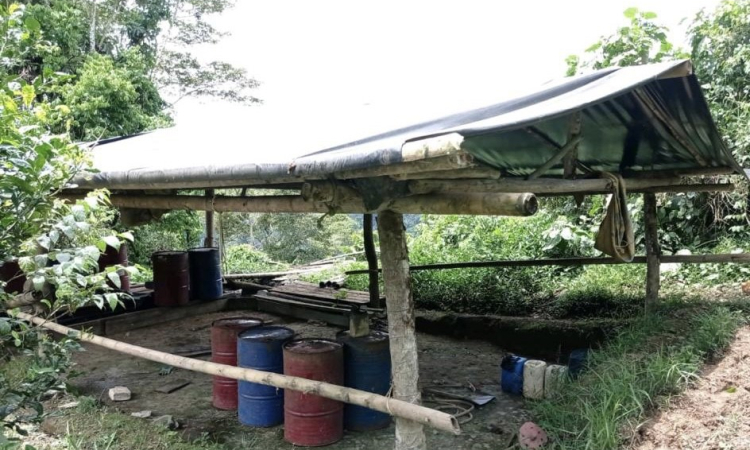 Veintidós laboratorios para el procesamiento de pasta base de coca, fueron destruidos en Chocó