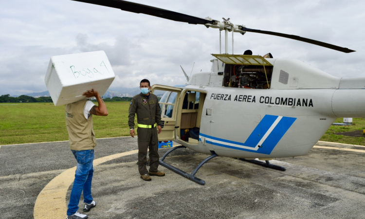 Más de 20.000 vacunas contra el COVID-19 llegaron a municipios del Valle del Cauca en helicóptero de su Fuerza Aérea