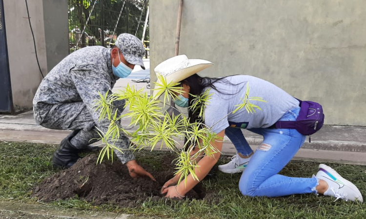 Jornada de embellecimiento y siembra de árboles en Yopal, gracias a su Fuerza Aérea