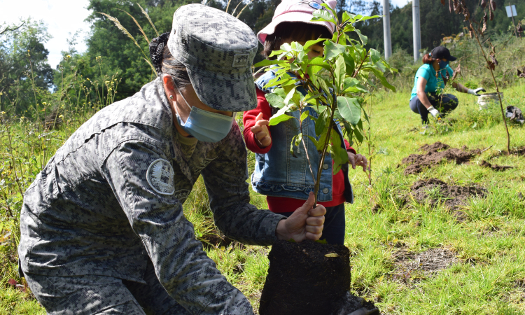 Cerca de 300 árboles fueron plantados por su Fuerza Aérea Colombiana