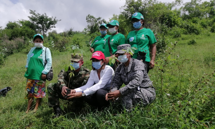 Su Fuerza Aérea Colombiana aporta a la arborización en Luruaco