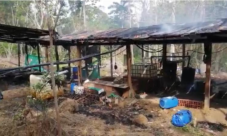 Operación conjunta afecta economía ilegal en Tibú, Norte de Santander