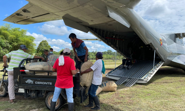 Su Fuerza Aérea continúa transportando toneladas de cacao desde Güerima, Vichada 