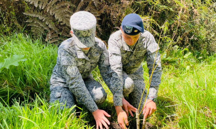 145 nuevos árboles fueron plantados por su Fuerza Aérea  Colombiana