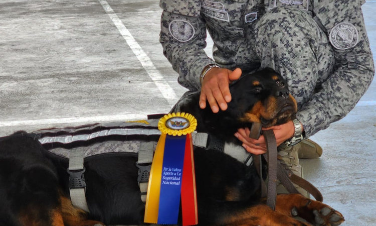 Se despide con honores una canino militar en el CACOM 5