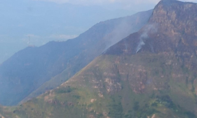 Fuerza Aérea realiza monitoreo y extinción del incendio entre Ibagué y Coello, Tolima