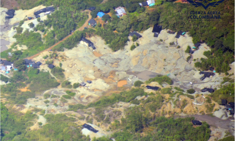 Diez hectáreas de bosques en el Cauca serán recuperadas luego de operación de la Fuerza Pública