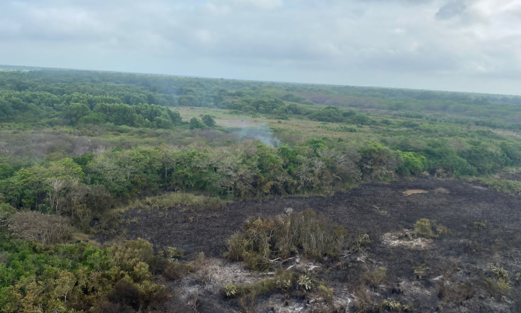 Se mantiene misión de extinción de incendio en el Parque Isla de Salamanca por parte de la Fuerza Aérea Colombiana