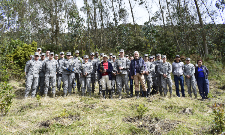 Fuerza Aeroespacial Colombiana siembra 400 árboles nativos en Zipacón para la preservación ambiental