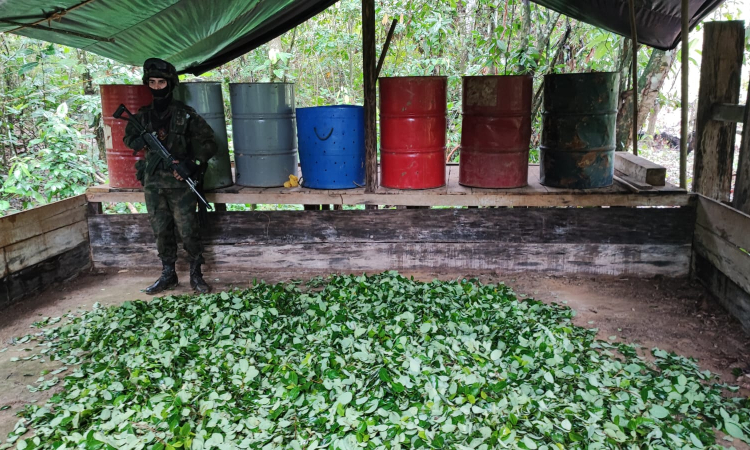 Operaciones contra el narcotráfico, son realizadas por sus  Fuerzas Militares en el suroriente colombiano
