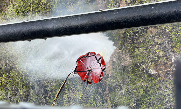 Extinguido incendio forestal registrado en zona rural entre Purificación y Prado, en el Tolima