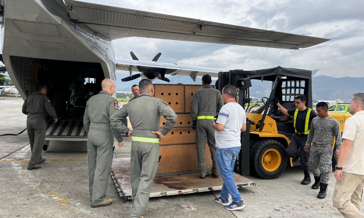 Ave exótica fue transportada hacia Melgar, Tolima, en una aeronave de su Fuerza Aérea Colombiana