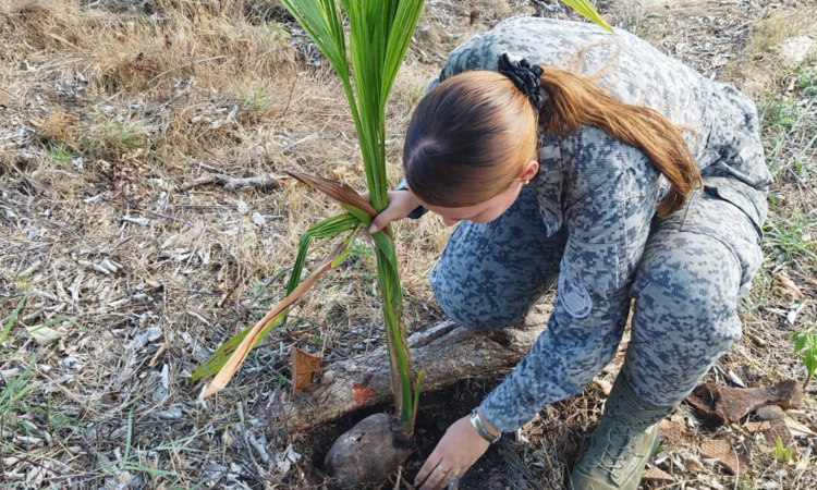 Proyecto de plantación de árboles nativos en San Andrés