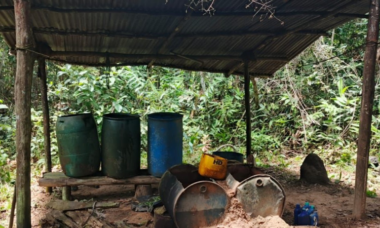 Tres laboratorios de cocaína fueron desmantelados en Cumaribo, Vichada