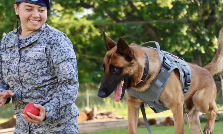 Seguridad y lealtad: la dupla perfecta entre Leif y su guía canino