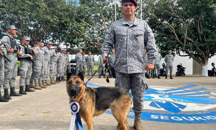 Despedida con honores a “Lola”: canino militar culmina su servicio a la nación