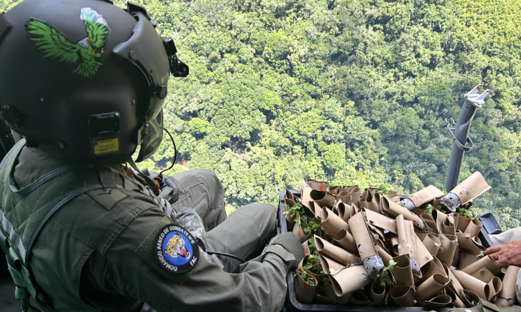 Reforestación aérea: Una esperanza para la recuperación de  la Amazonía colombiana 