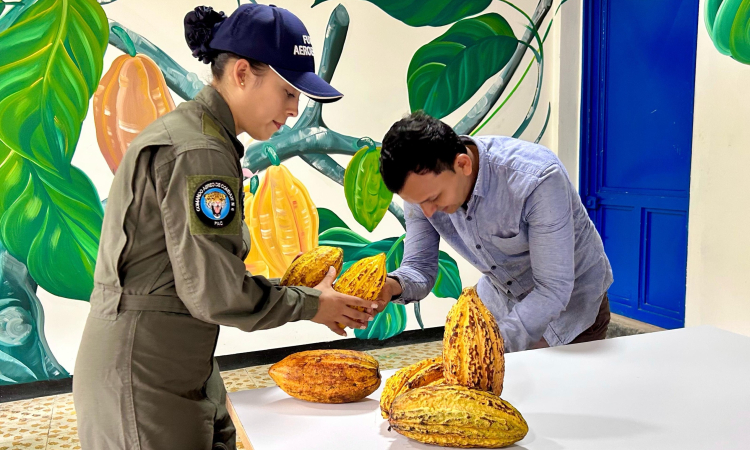 Trabajo Interinstitucional mejora la productividad del cacao en Solano, Caquetá