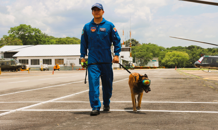 Emy, la nueva aliada canina que protege los cielos del Tolima