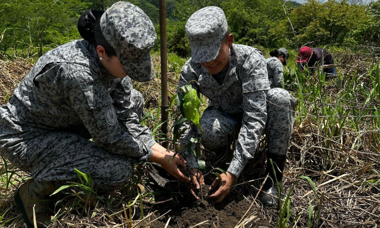 600 árboles para la vida: compromiso ambiental en Yopal